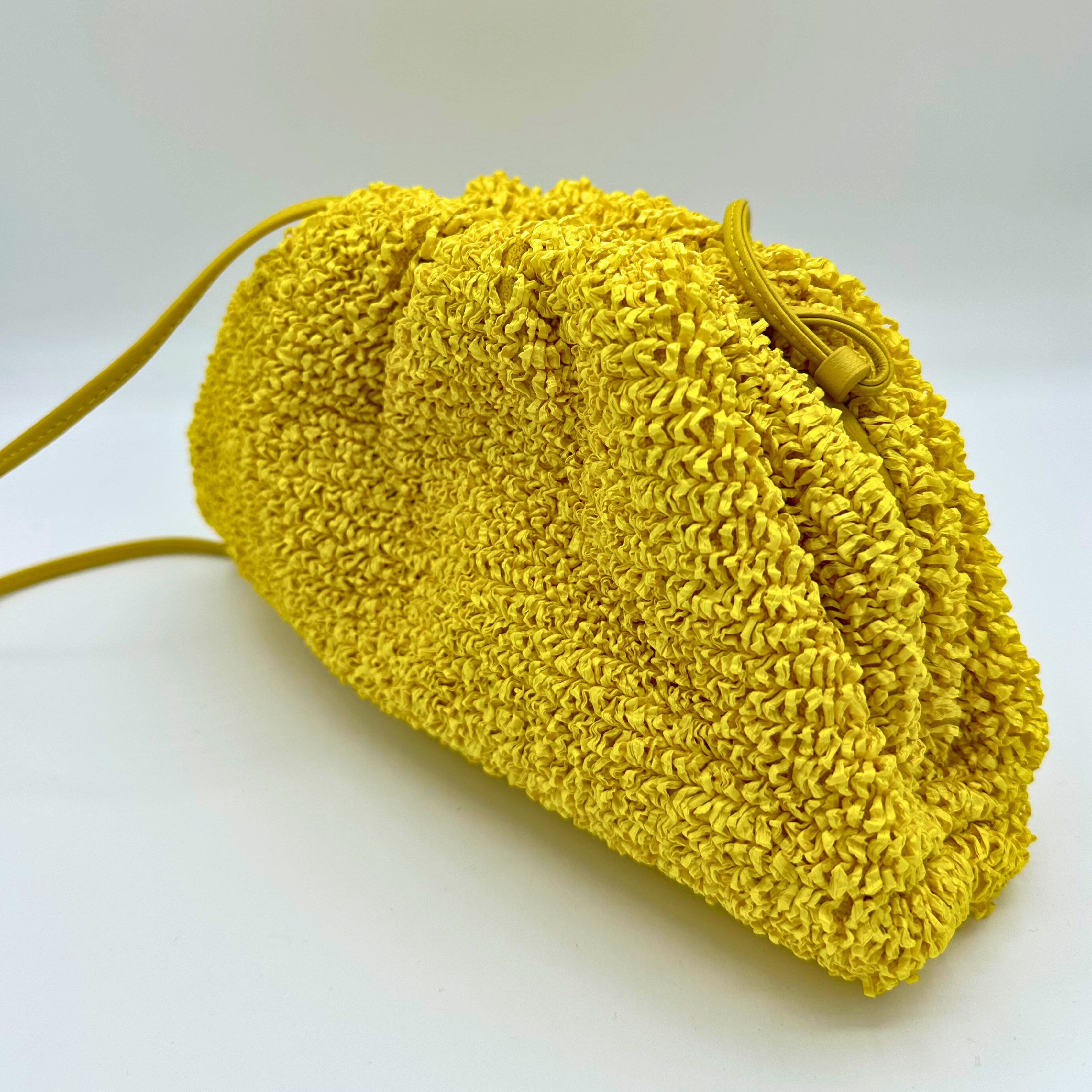 Bottega Veneta Pouch Handbag