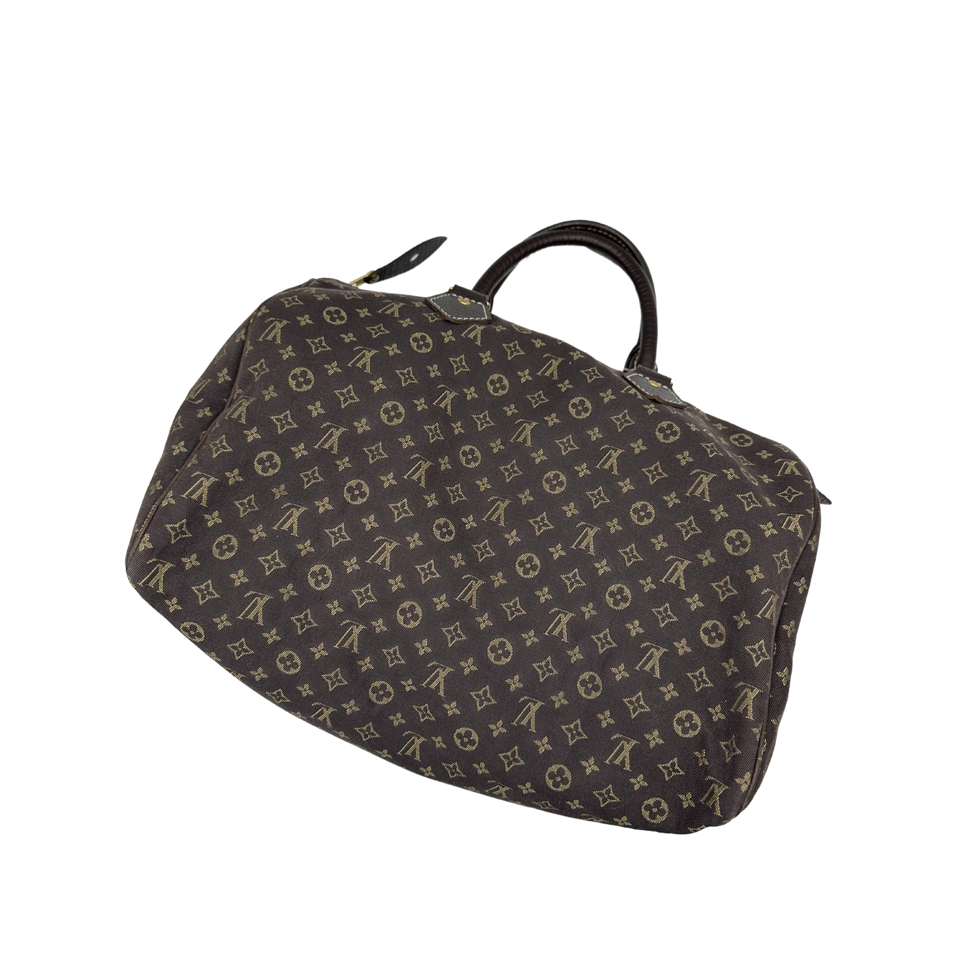 Louis Vuitton Speedy Handbag