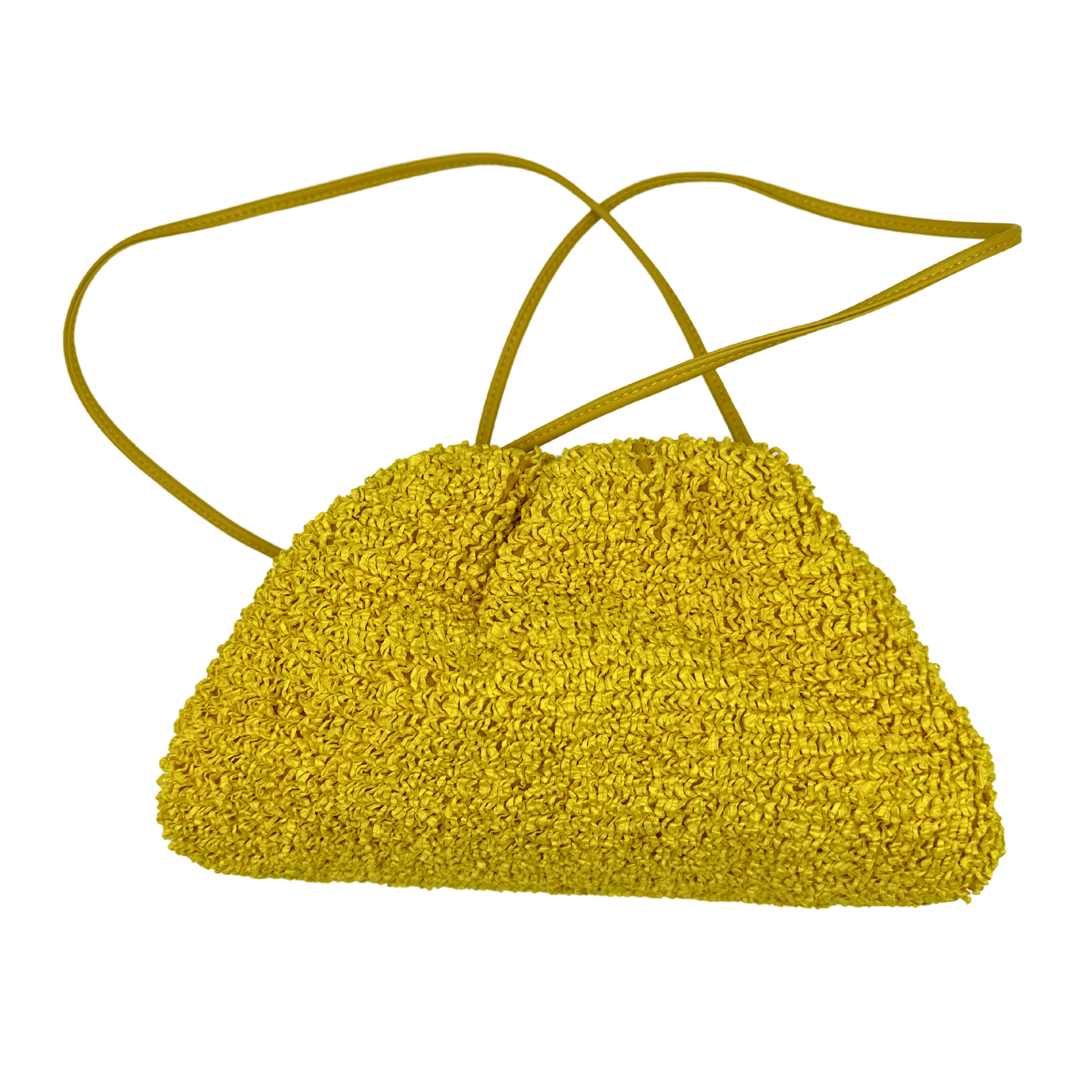 Bottega Veneta Pouch Handbag