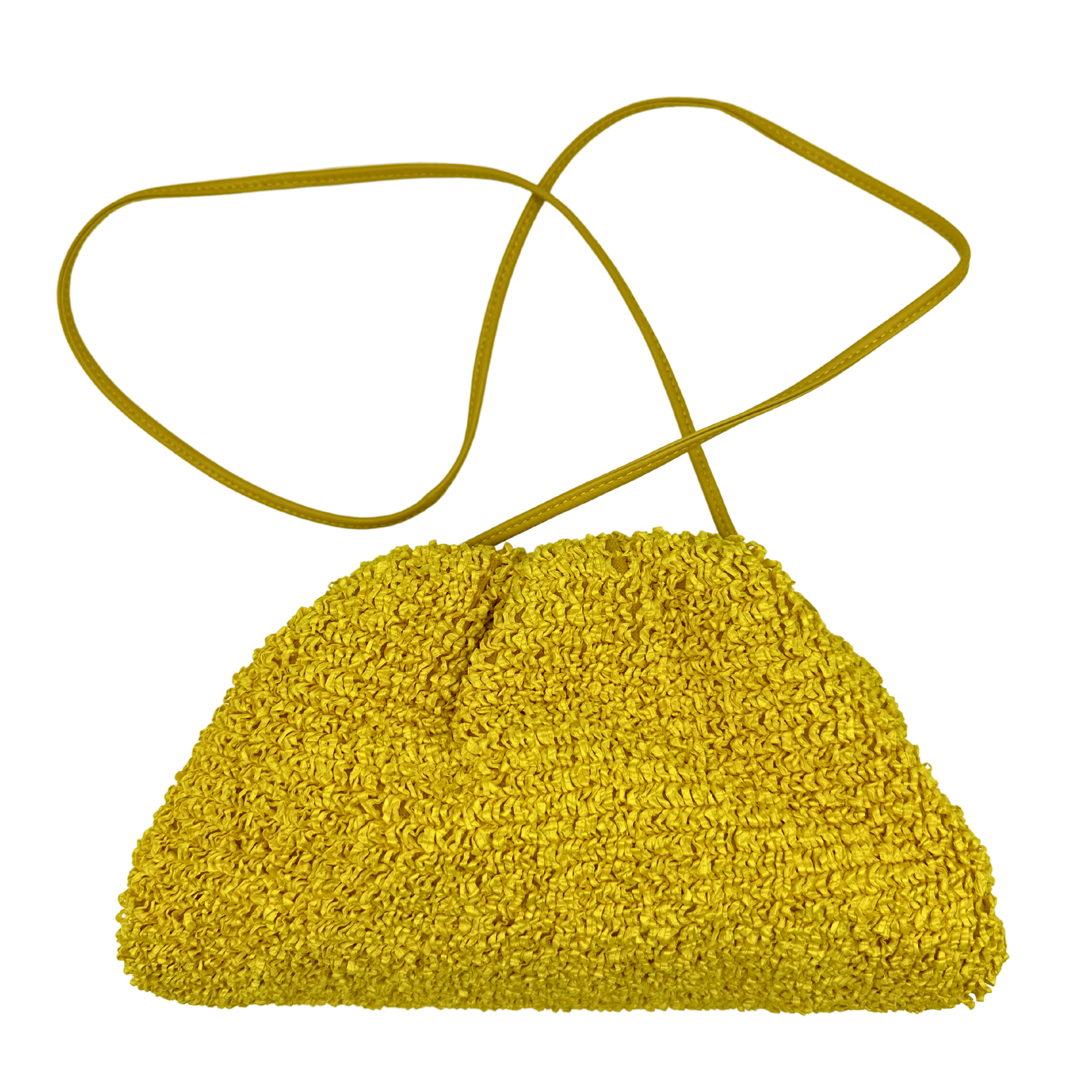Bottega Veneta Pouch Handbag