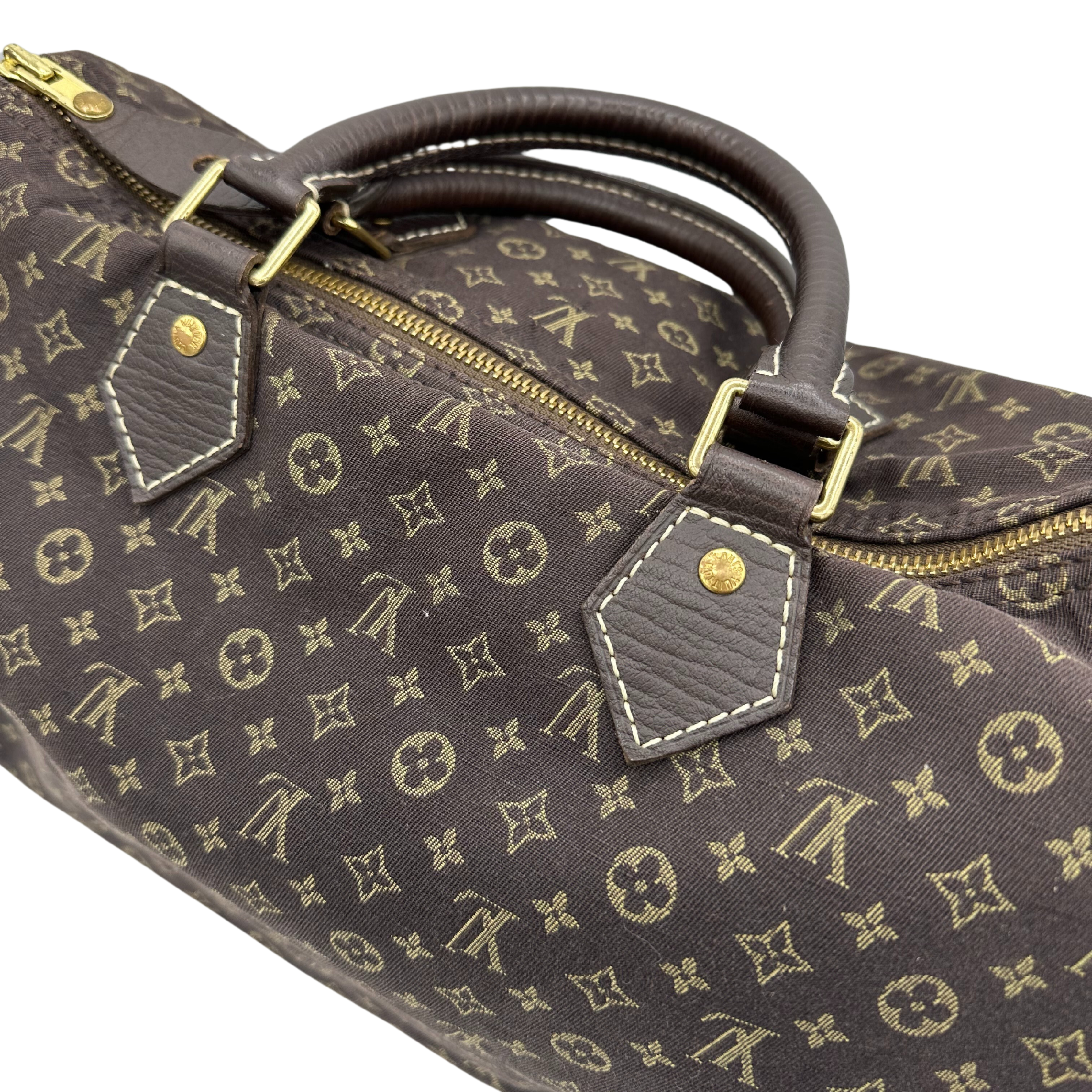 Louis Vuitton Speedy Handbag